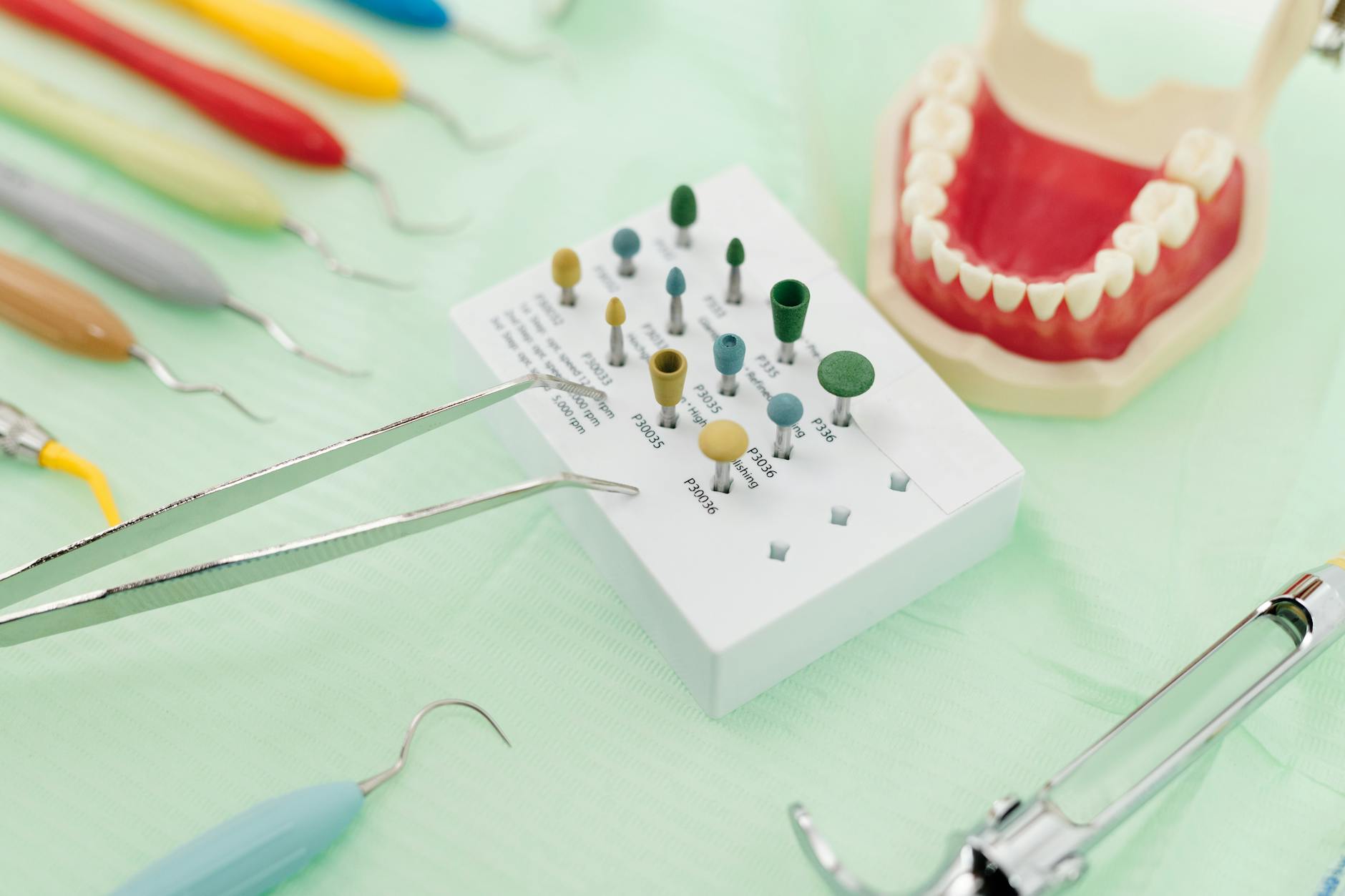 Close-up of a dentist examining a patient's tooth, perfect for lost tooth context.
